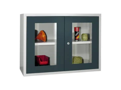 Hangkast 600x800x300mm Achterwand Glad Ral 7035 Front Ral 7016