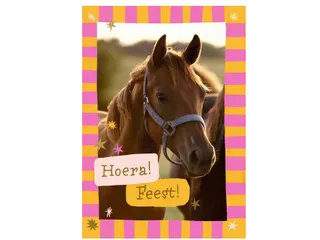 Wenskaart Hallmark uitnodiging paarden pak à 6 stuks - 1