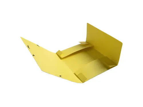 Cartobox Archiefdoos R60mm Aquarel geas