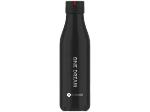 Thermosfles Les Artistes Paris 500ml One Dream