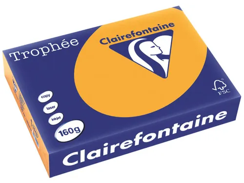 Trophée Pastel gekleurd papier A4 160 gram 250vel Oranje
