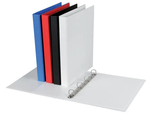 Ringband Quantore A4 4-rings D-mech 20mm PP wit