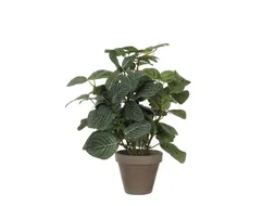 Kunstplant Mica Pilea in pot Ø11,5cm 35x25cm
