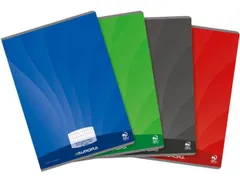 Verslagschrift Mano ruit 5mm Assorti