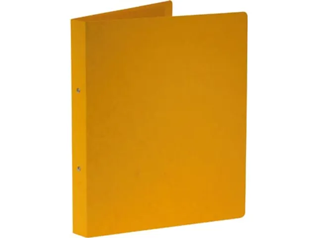 ringmap A4 uit glanskarton 2 ringen 25 mm geel