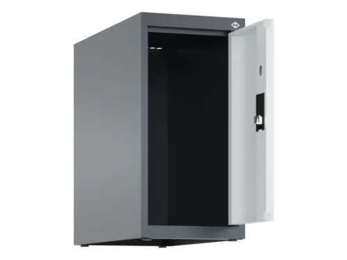opzetkast,v. locker,1vak.,vak B 250mm,HxBxD 500x250x500mm,vleugeldeur