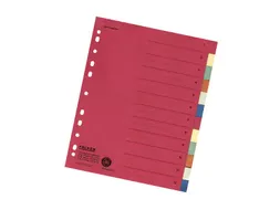 Tabblad recycled karton A4+ 12tabs
