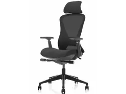 Ergonomische Bureaustoel 600 NEN-EN 1335 Zwart Mesh Met Hoofdsteun