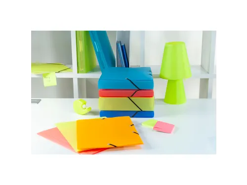Exacompta Elastomap Linicolor PP A4 Assorti