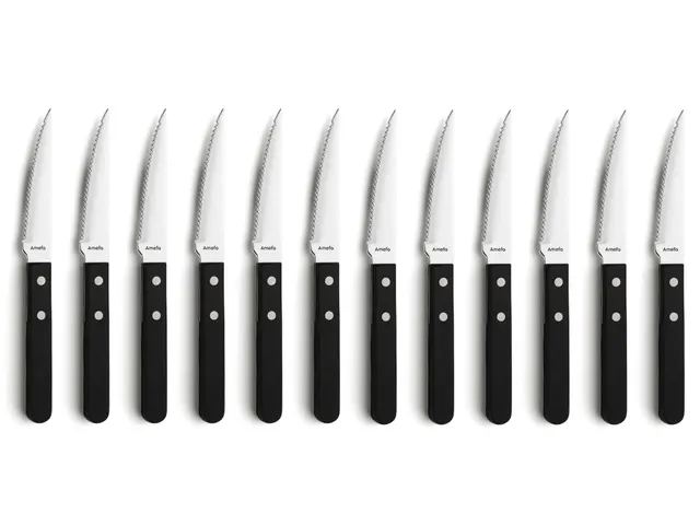 Couteau Amefa 7000 Steak 21cm Plastique/Inox 12 pièces