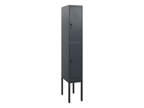 dubbeldekse locker,HxBxD 1950x300x500mm,1x2vak.,vak B 300mm