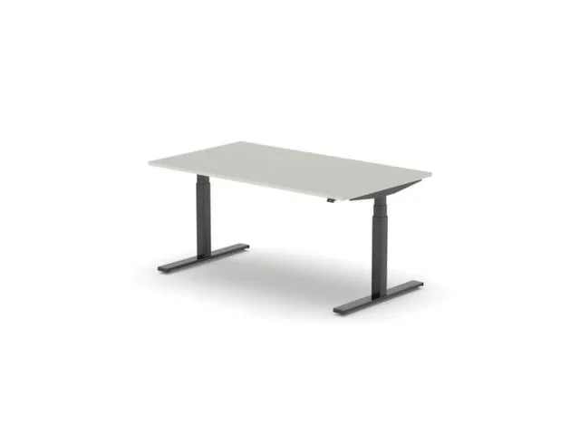 Elektrisch ihv bureau,HxBxD 650-1310x1600x900mm,blad lichtgrijs