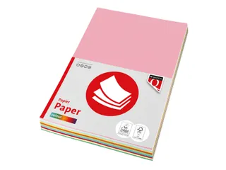 Kopieerpapier Quantore Colour A4 160 Gram 10 Kleuren X5vel Assorti - 1