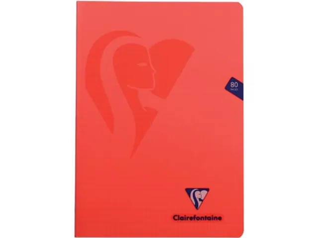 Schrift Mimesys Pp A4 80blz Geruit 4x8mm Assorti