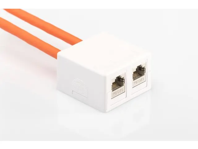 Consolidatiepuntbehuizing voor 2x Keystone modules Wit 2-Poorts