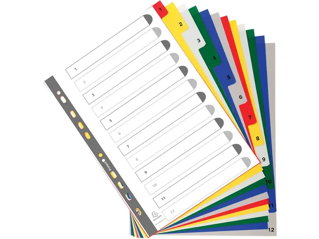 Exacom Tabbladen A4 Pp 12-delig 11-gaats Assorti