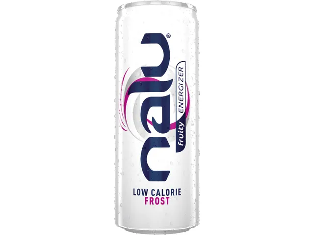 Frost energiedrank, 25 cl blik, 24-pack