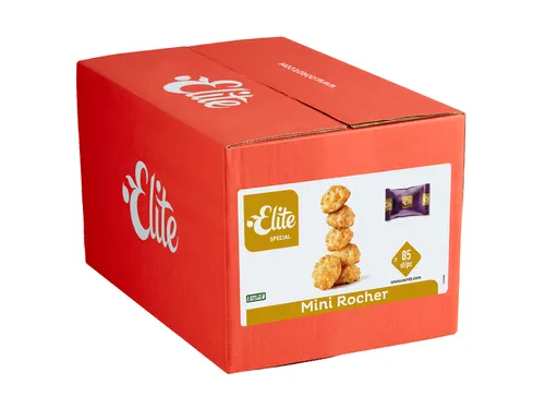 Koekjes Elite mini rocher kokosrotsje 85 stuks
