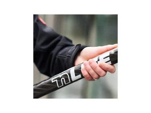 Perche télescopique Unger Carbon Composite 2 éléments 3,20m
