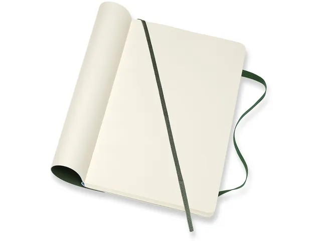 Carnet de notes Moleskine L 130x210mm uni vert myrte