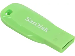 SanDisk Cruzer Blade 32 GB USB flash drive USB Groen