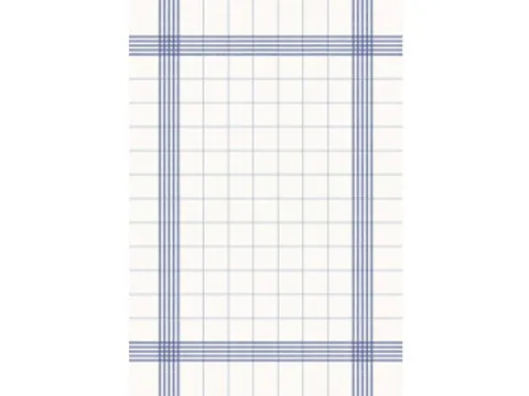 Extra Large Towel 38x54cm Wit/blauw 250 stuks