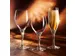 Chef & Sommelier Sensation Exalt Champagneglas 19cl, doos 6 stuks