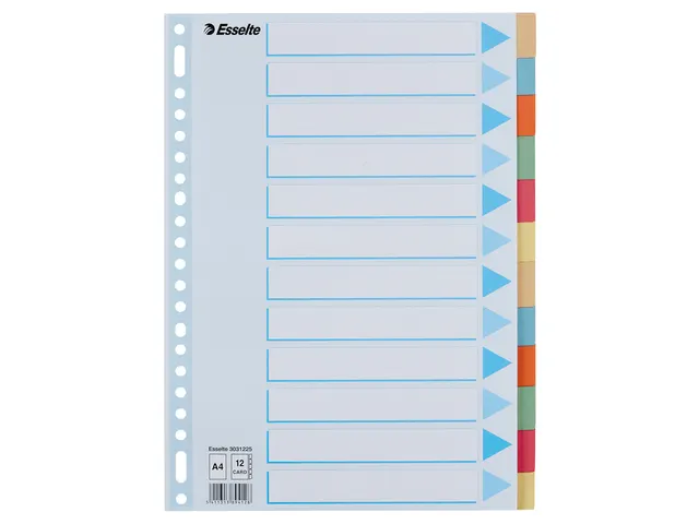 Tabbladen Esselte Premium A4 12-delig karton 23-rings assorti