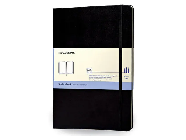 Schetsboek Moleskine large 130x210mm