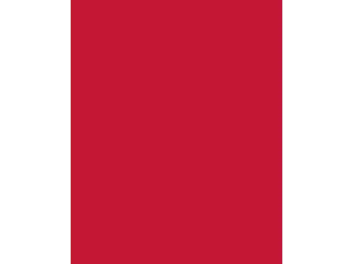 Etalagekarton Folia 48x68 cm 400gr Nr 211 Rood
