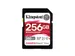 256GB Canvas React Plus SDXC UHS-II 280R/150W U3 V60 voor Full HD/4K