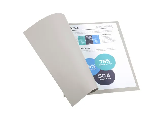 100 dossiermappen FOREVER 250 100%gerecycleerd 24x32cm Grijs