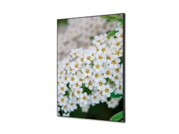 Wanddecoratie Textiel Set A2 Witte Bloem Spirea