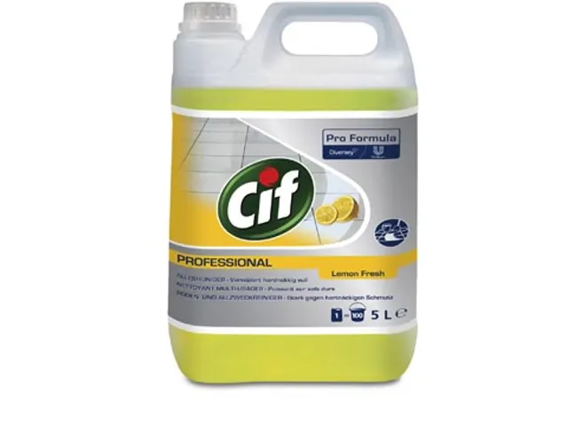 Cif Allesreiniger Citroen 5 Liter