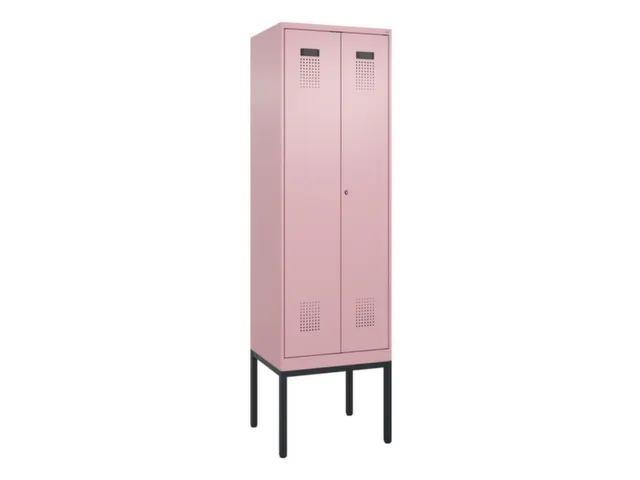 locker voor scheiding van kleding,HxBxD 2120x600x500mm,2vak