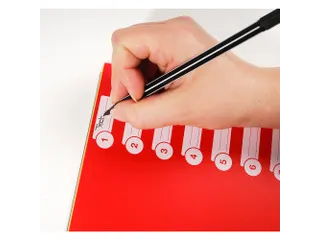 Tabbladen A4 Ondoorzichtig PP 0.30mm 12-Delig 11-Gaats Assorti - 5