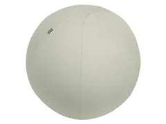 Leitz Ergo actieve zitbal anti-rol met stop-functie 75cm lichtgrijs