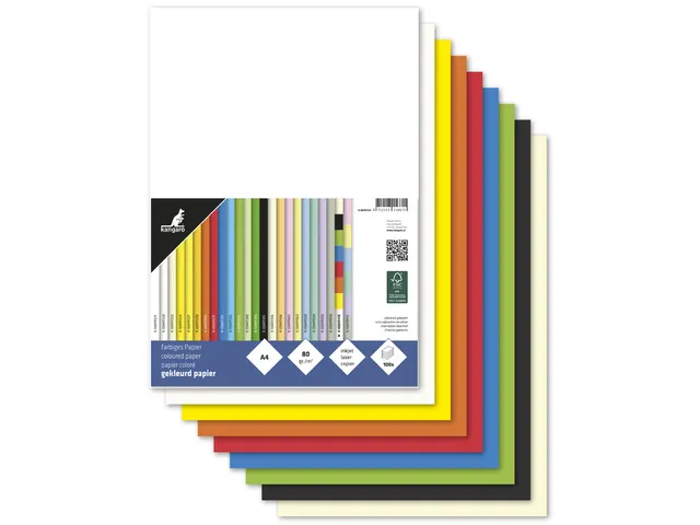 Papier Kangaro A4 80grs assorti pak 100 vel (10x10)