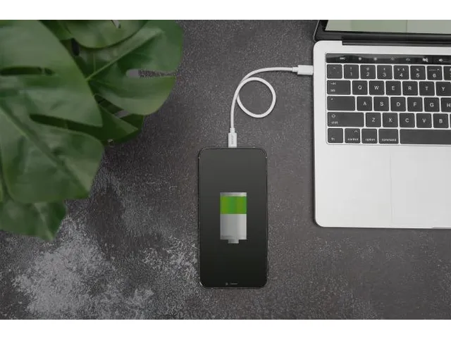 Gegevens-/oplaadkabel Lightning USB-C M/M 1m PVC MFI Wit 20V/3A 60W