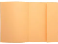 Exacompta Dossiermap A4 Jura 250 Ivoor