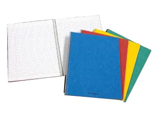 Schrift Aurora A4 lijn 120 pagina's 80gr assorti - 1
