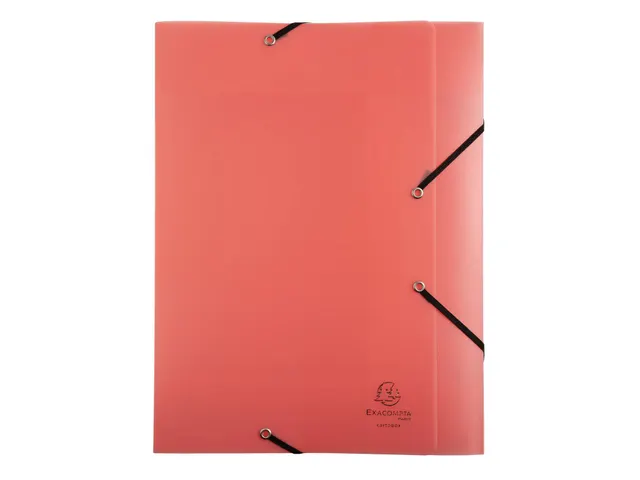 Boite de classement Exabox Dos 40mm Polypropylène 7/10e Chromaline pa