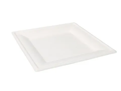 Bord Bagasse 1-vaks 26x26cm Wit doos 500 Stuks