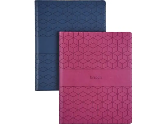 Agenda Timing Cube assorti 2026