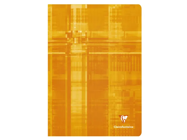 Schrift Clairefontaine A4 ruit 4x8mm 80 pagina's 90gr assorti