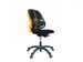 Support dorsal Professional