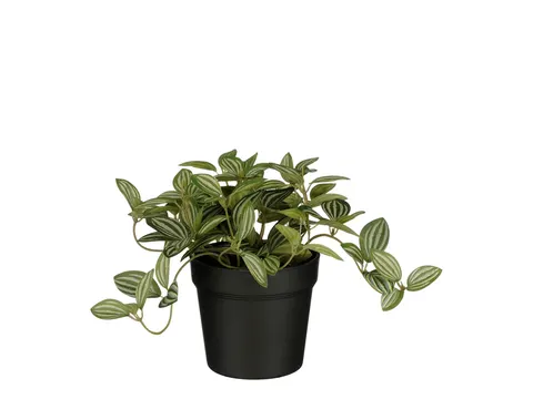 Kunstplant Mica Tradescantia in pot 16x16cm