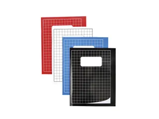 Schrift Qbasic 210x165mm ruit 10mm 80blz 70gr assorti - 5