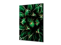 DiscountOffice Muurdecoratie