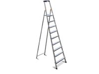 Lichte Universele Ladders Aluminium Kunststof 8treden